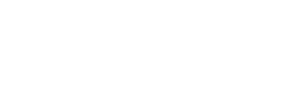 feel summer logo whote