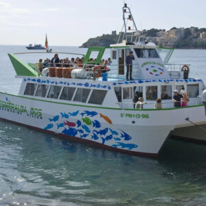 Dolphin Boat Magaluf