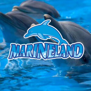 Marineland - Mallorca