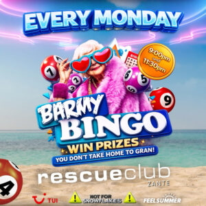 Barmy Bingo